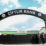 Çiftlik Bank’ın Uruguay ayağı tutuklandı