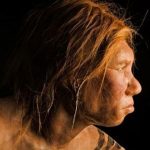 Modern insan ile Denisovan insanı tarihte iki kez karıştı