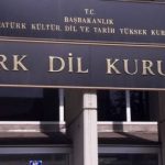 TDK ‘müsait, boyalı, yollu, taze’ gibi cinsiyetçi kelimelerin sözlükten çıkarılmasına itiraz etti
