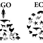 Egoistilik mi ekolojik farkındalık mı?