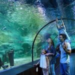 Viaport Marina’da yeni skandal: Aslan Park