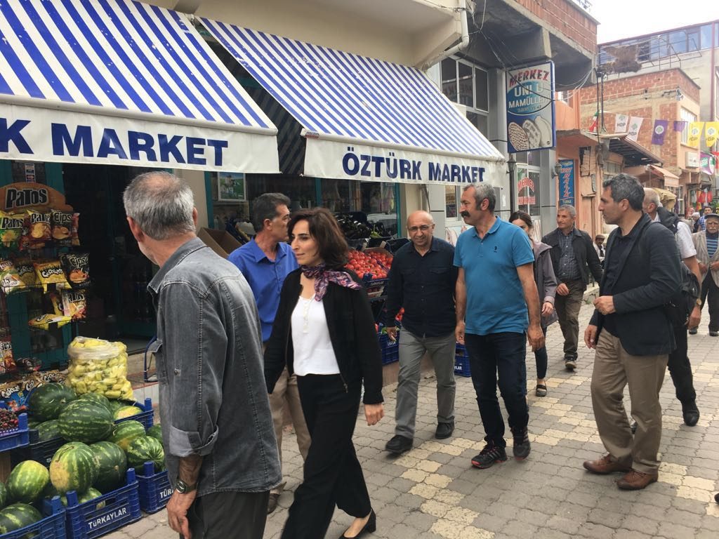 SMF ve HDP’den Pertek ve köylerinde seçim çalışması
