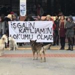 Efrin işgaline hayır diyen öğrenciler tahliye edildi
