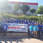 Selüloz-İş Sendikası üç fabrikada 250 kişiyle greve çıktı