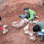 Arjantin’de 200 milyon yaşında on tonluk dinozor bulundu