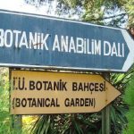 İstanbul Üniversitesi Botanik Bahçesi Müftülük için tahliye ediliyor