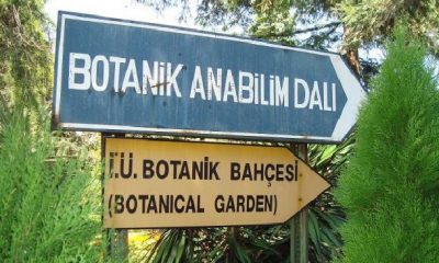 iü botanik bahcesi