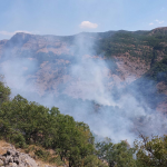 Devlet, Dersim’de toplum ve doğaya karşı çirkef, kirli bir savaş yürütmektedir