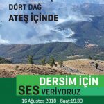 DEDEF Dersim’deki orman yangınlarını protesto etmek için yapacağı eyleme çağrı yaptı