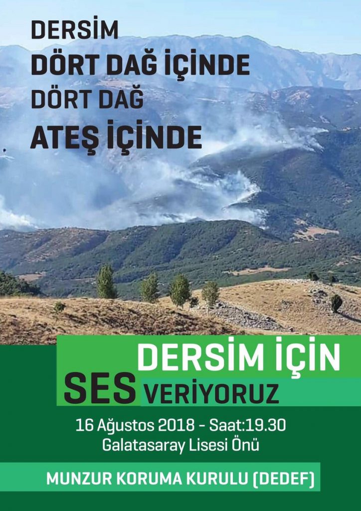 DEDEF Dersim’deki orman yangınlarını protesto etmek için yapacağı eyleme çağrı yaptı