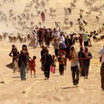 ‘Şengal Dağı’nın dili olsaydı da anlatsaydı…’