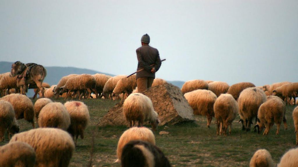 “Askeri yasak bölgeye girdikleri” gerekçesiyle 4 koçer tutuklandı!