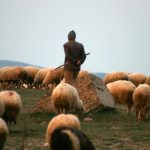 “Askeri yasak bölgeye girdikleri” gerekçesiyle 4 koçer tutuklandı!