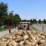 Satılan şeker fabrikasında 346 işçi işten çıkarıldı!