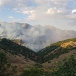 Dersim’de bu kez Kutuderesi’ndeki orman ateşe verildi