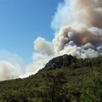 Antalya’nın Kumluca ilçesinde orman yangını!