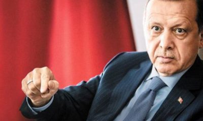 erdogan hakaret