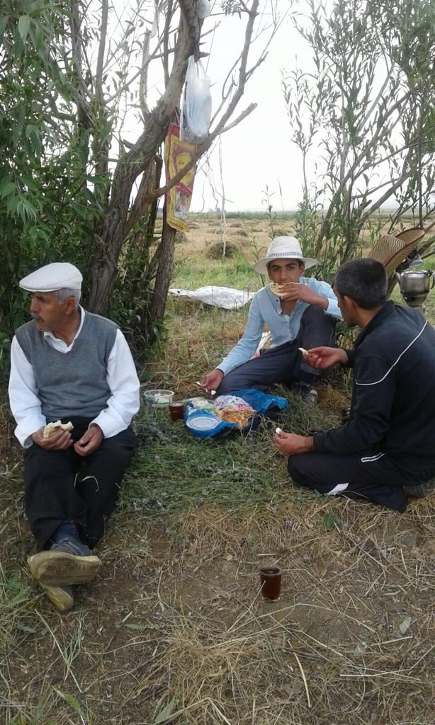 Çiftçilikle geçimini sağlayan 70 yaşında ki kişi “Gri listeden” tutuklandı!