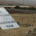 Güroymak ilçesi karantinaya alındı; 100’den fazla hayvan yaşamını yitirdi!