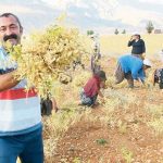 SMF’li Ovacık Belediye Başkanı F.Mehmet Maçoğlu: Modelimiz Ovacık’la sınırlı kalmayacak