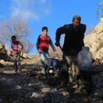 Şırnak’a bağlı mahallede su ve elektrik olmamasına rağmen adım atılmıyor