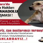 Hayvan hakları savunucuları ‘Katliam Tasarısı’nı protesto edecek
