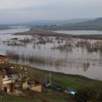 TMMOB: Dicle barajında ihmaller zinciri ve ekolojik tahribat had safhada