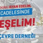 Munzur Çevre Derneği: “5 Haziran Dünya Çevre Günü” hükümetlerin halkı kandırdığı gündür!