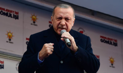 erdogan 7 696×385