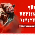 ‘Mezbahalar kapansın, hayvanlara özgürlük’