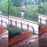 Rize’de temizlik işçisi yavru köpeği dereye attı
