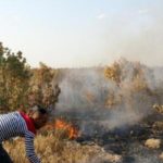 Nusaybin Bagok Dağı’nda yangın köylülerin çabasıyla söndürüldü