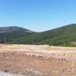 Çanakkale’de ağaç katliamı: Altın madeni projesi için 195 bin ağaç kesildi