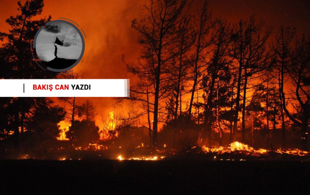 Eleştiri ve Bilinç: Ekoloji ve Doğa Savunusu Bir Yanda Orman Yakmak Diğer Yanda