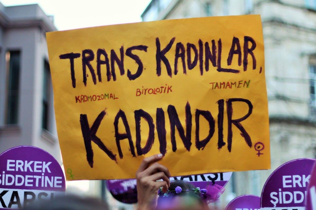 Cinsel Şiddetle Mücadele Derneği: ‘Toplumsal cinsiyet gibi biyolojik cinsiyet de toplumsal bir kurgudur’