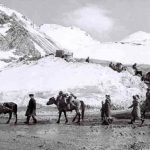 ‘Kızıl Kürdistan’ hakkında bilinmeyen bazı meseleler/Faik Bulut