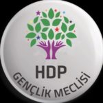 HDP Gençlik Meclisi üyesi 36 kişi adliyeye sevk edildi