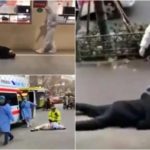 Koronavirüs nedir: Çin’de ortaya çıkan yeni virüs (corona virüs) hakkında neler biliniyor?