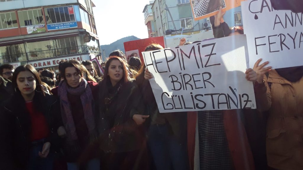 Dersim’de Gülistan Doku eylemine polis saldırısı