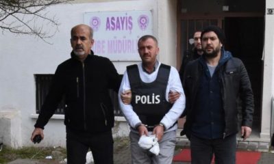 imirze sari 730×410