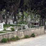 Karakoldan ailelere: Mezar taşlarından X, Q, W harflerini silin