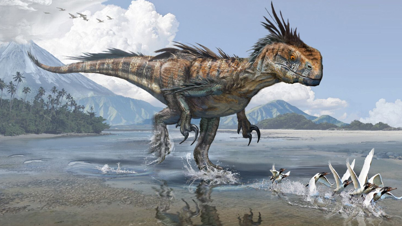 1589373188823 mega 1