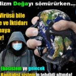 Ekoloji Birliği: Salgın fırsata çevriliyor