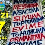 Ekoloji Birliği: “Gezi direnişi, ekoloji mücadelesinin daha görünür hale gelmesini sağladı”