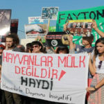 Hayvan hakları savunucuları adalardaki atların akıbeti için toplandı