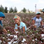 Urfa’da 200 bin çocuk tarım işçisi olarak çalışıyor