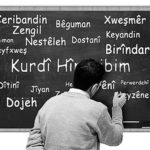 Kürt Dil Bayramı | Bir gün değil, her gün Kürtçe eğitim kampanyası başlıyor