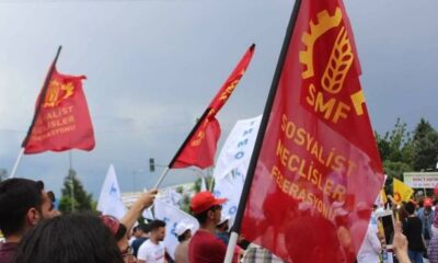 52319856 1060889290763896 4619774038846210048 n