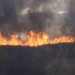 Antalya’da çıkan yangında 2 dönüm makilik alan yandı