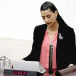 Feleknas Uca: Basın kartları muhalif gazetecilere neden verilmiyor